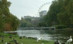 Looking East towards the Thames. the London Eye is clearly visible.