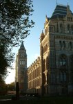 The Museum of Natural History