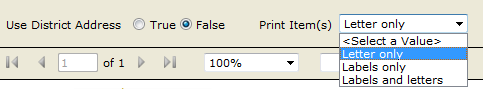 visible report parameters