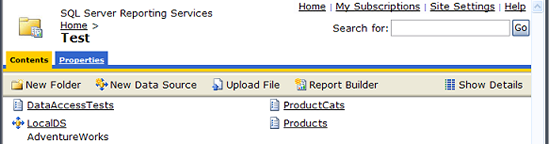 Standard Report Manager interface